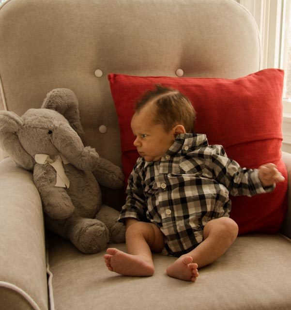 What you talkin' about Mr. Elephant?