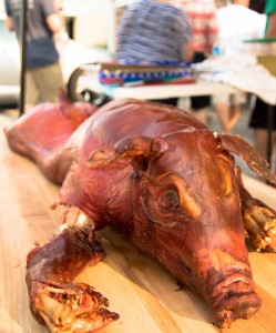 7B1A4584