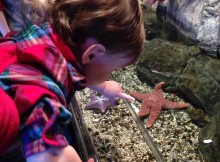 Fishies and Sharks and Starfish, oh my!