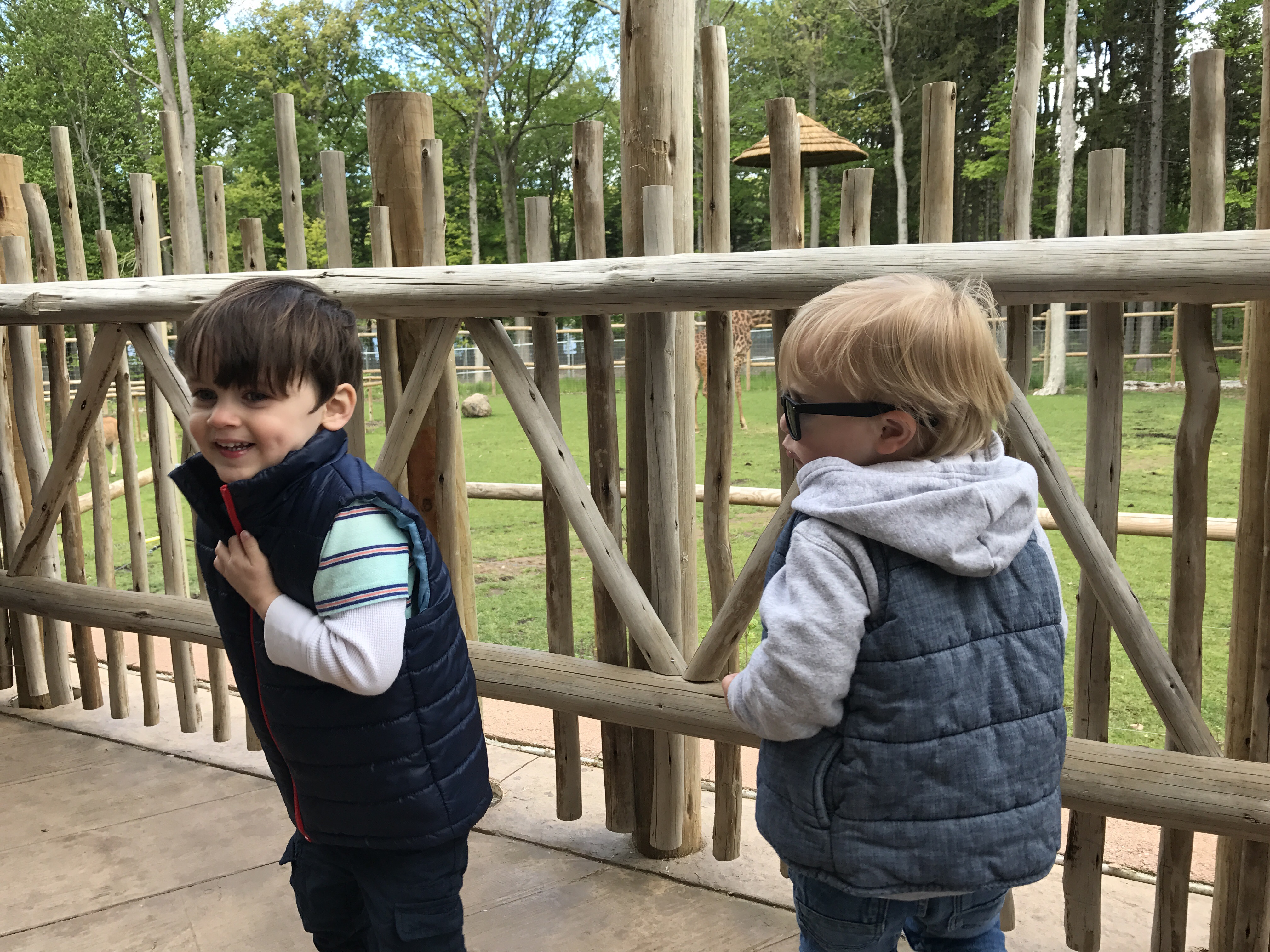 Zoo! 