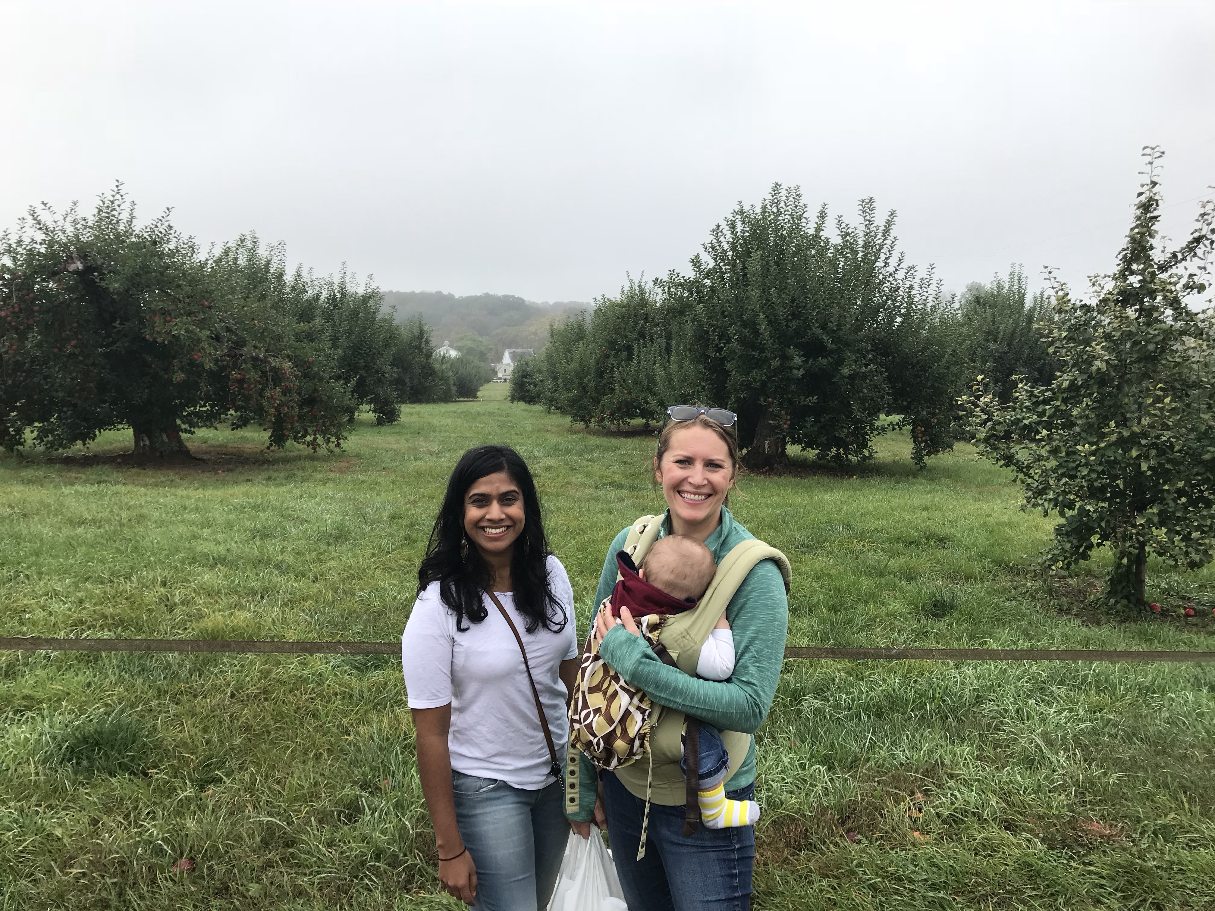 Apples with Miss N.