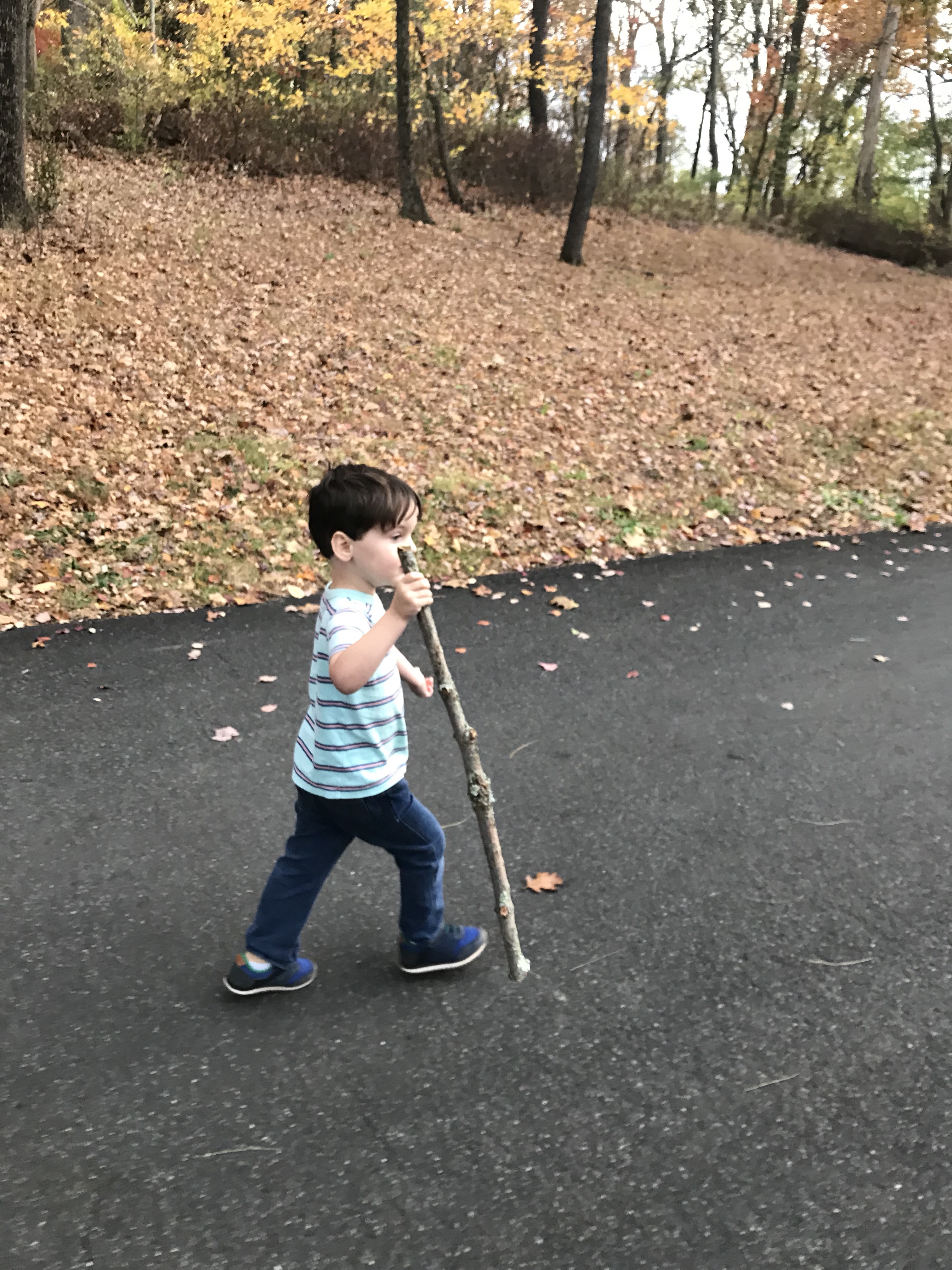 Little people, big adventures!