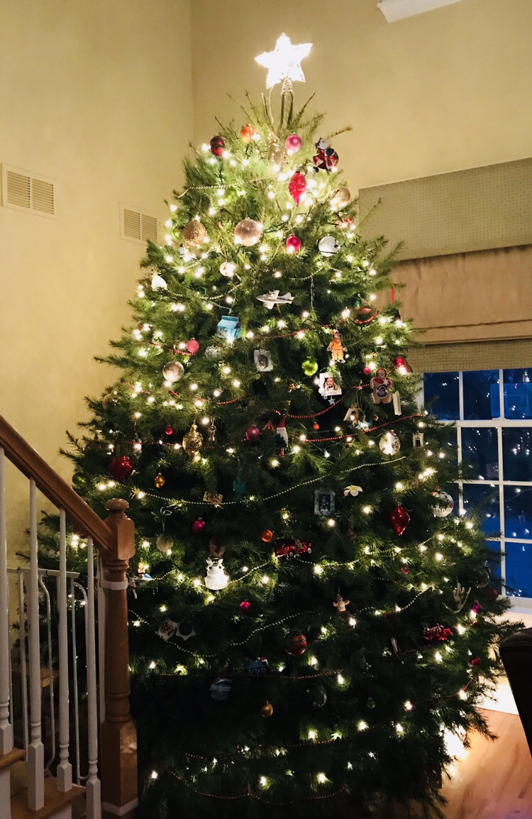 Oh Christmas Tree!