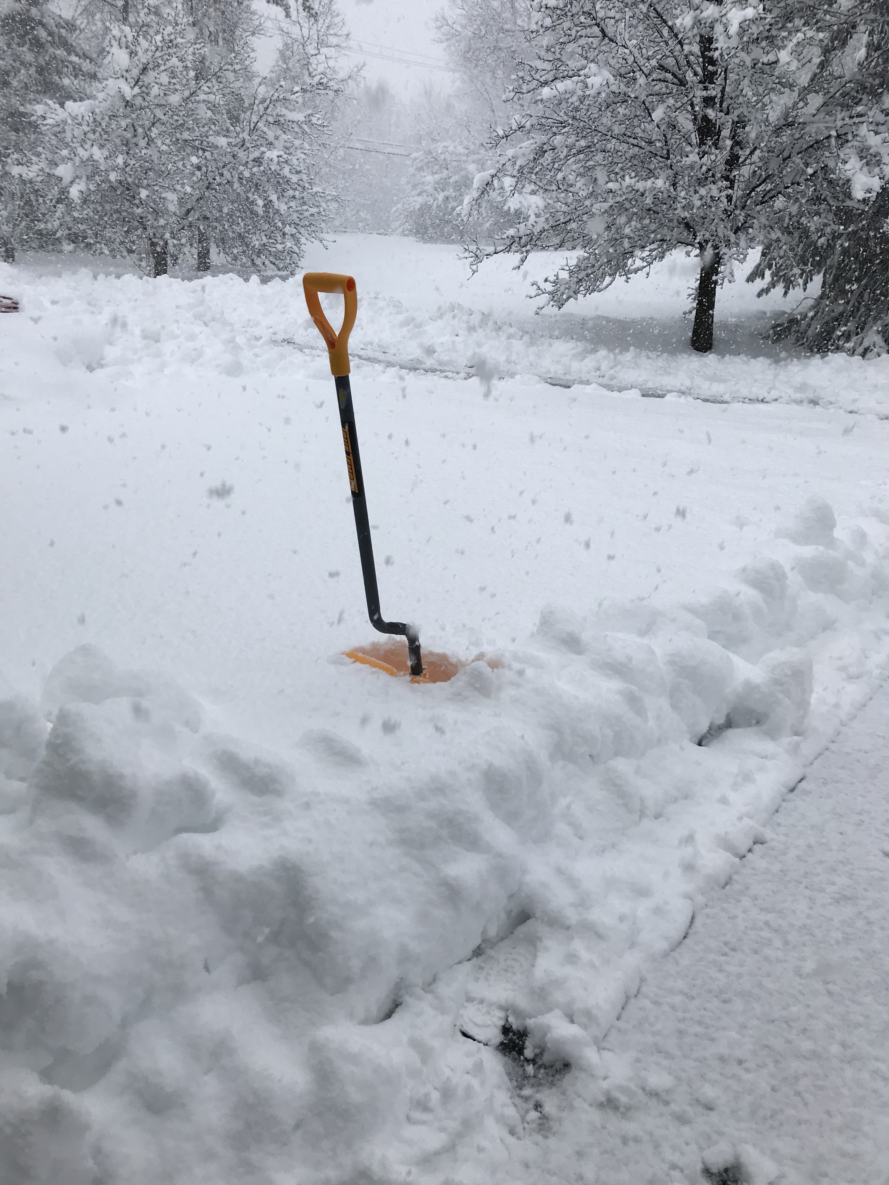 Snow Day