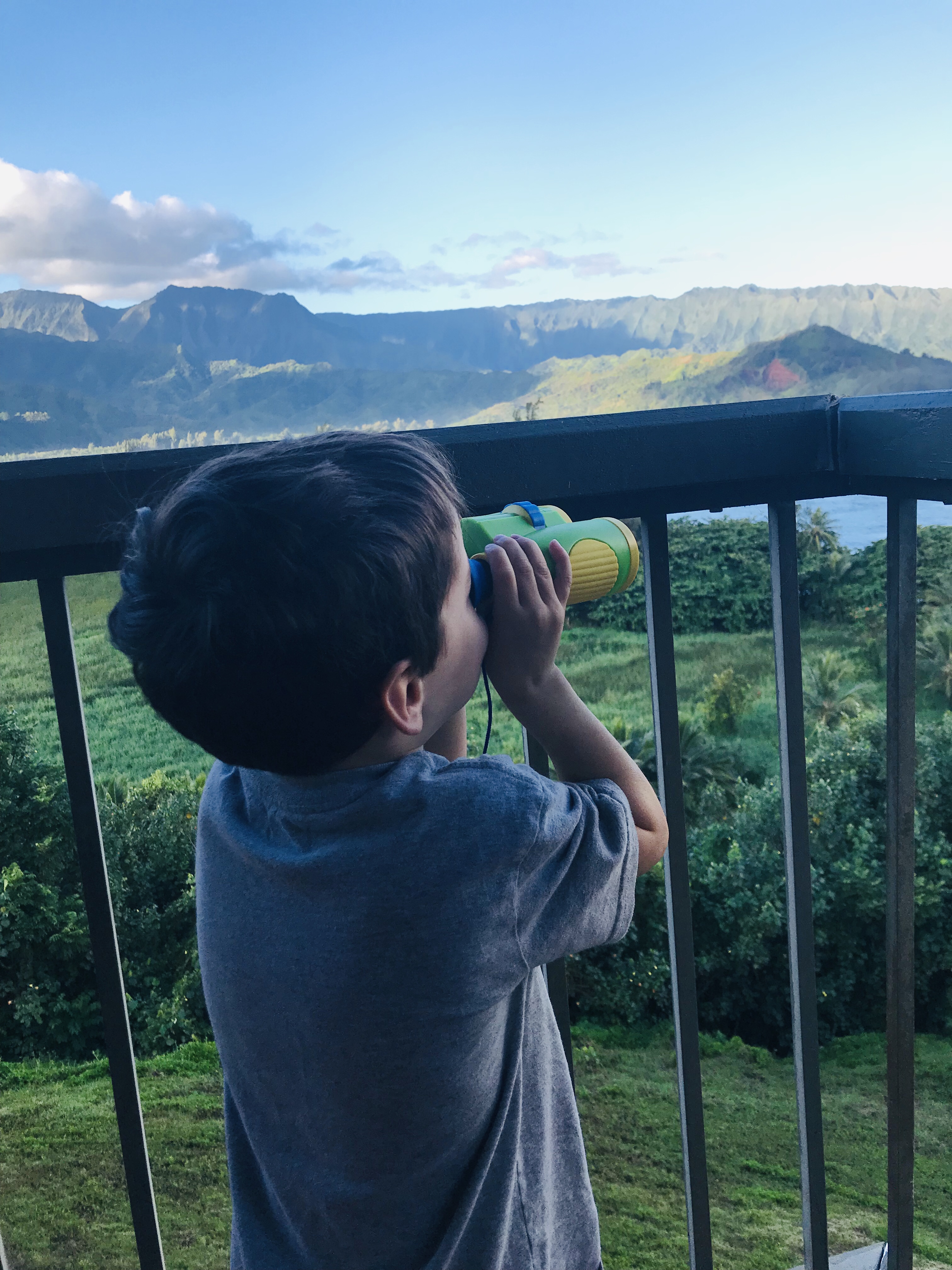 Kauai: More Fun!
